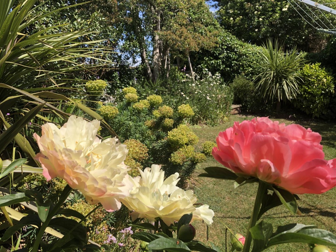 Brackendown Avenue, Weymouth