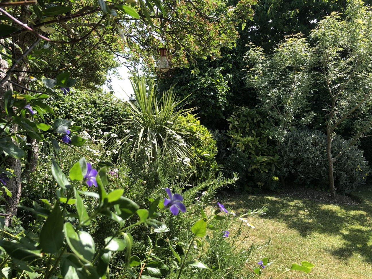 Brackendown Avenue, Weymouth