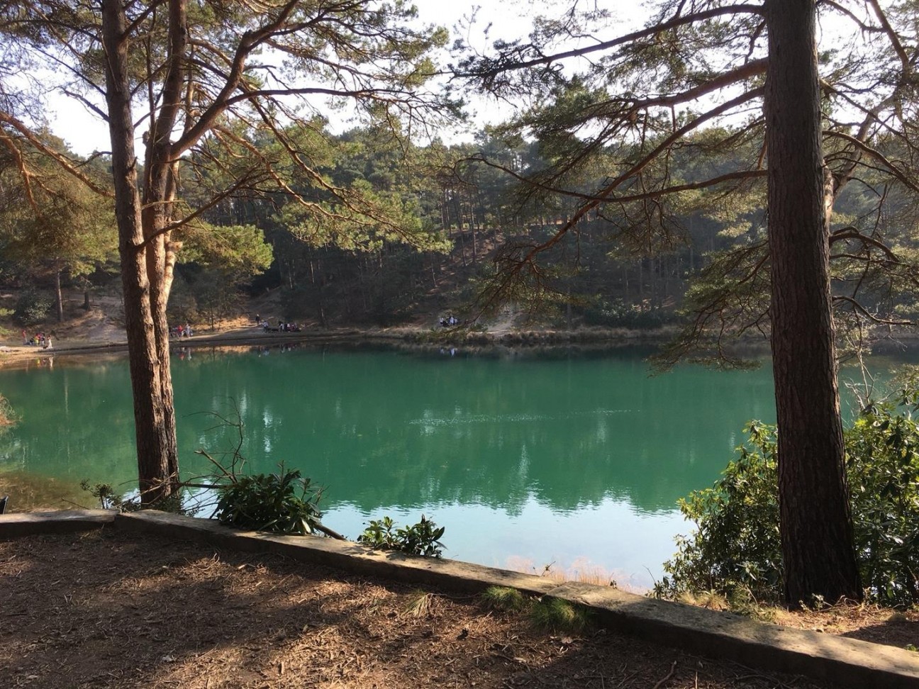 Corfe Road, Stoborough, Wareham