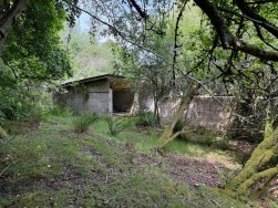 Warmwell, Dorchester
