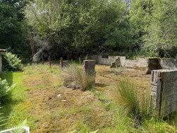 Warmwell, Dorchester