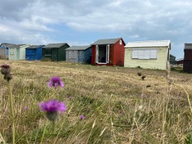 Portland Bill, Portland