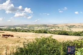 St. Georges Close, Langton Matravers, Swanage