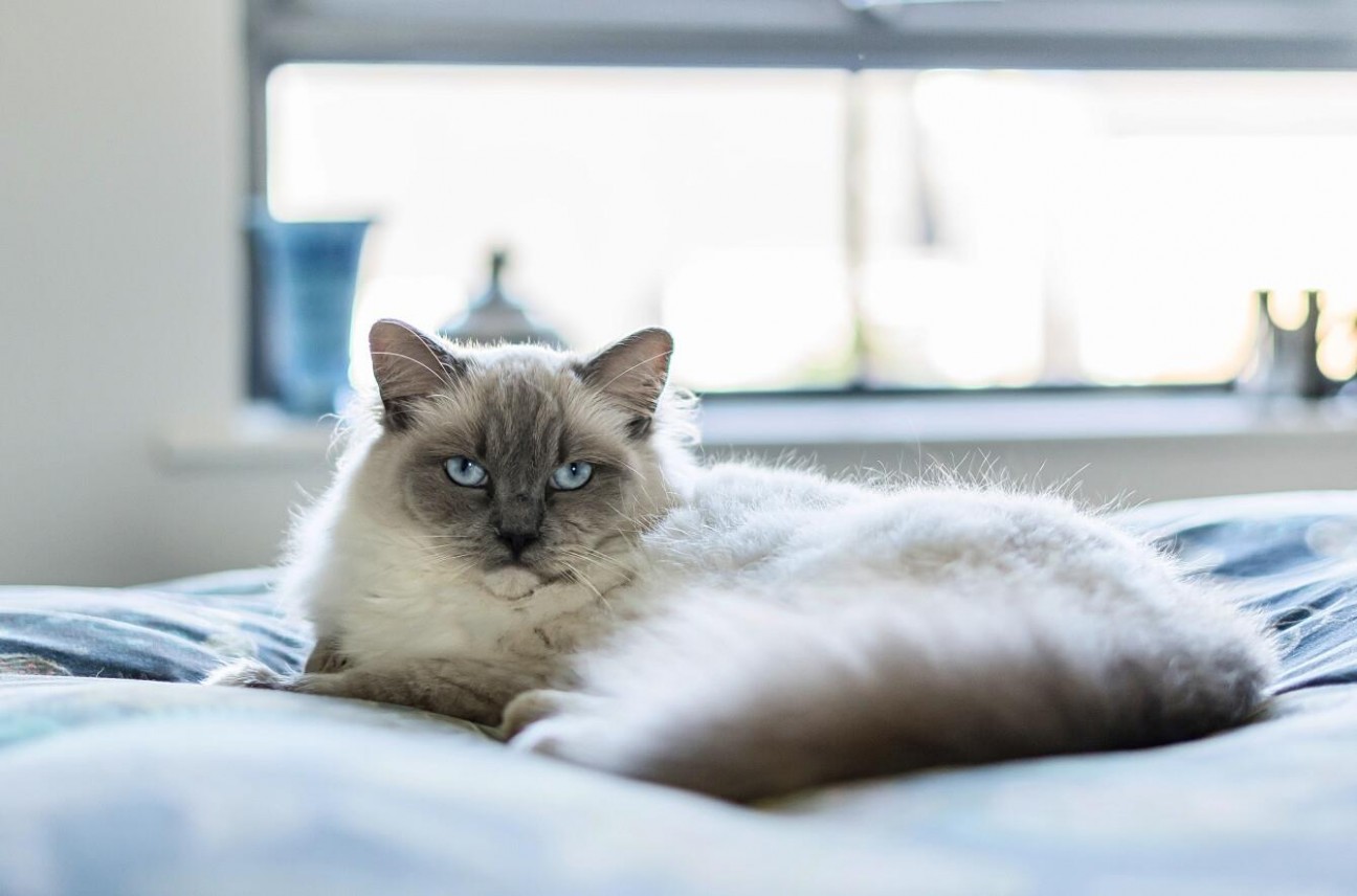 4 Seamist, Townsend Road