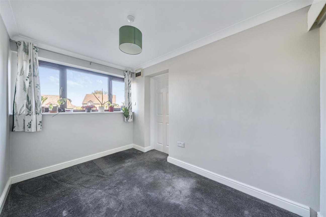 Whitehill, Puddletown, Dorchester