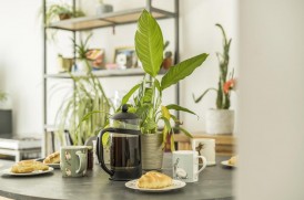 Greensands Way, Swanage