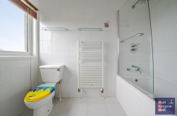 Albert Terrace, Portland