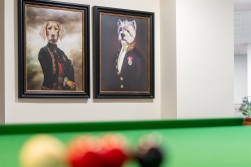 Bowes Lyon Court, Poundbury, Dorchester