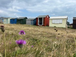 Beach Hut, Portland Bill, Portland