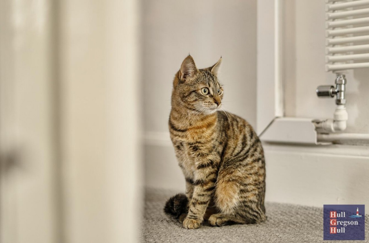 Belle Vue Terrace, Portland