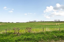 Main Road, Tolpuddle, Dorchester