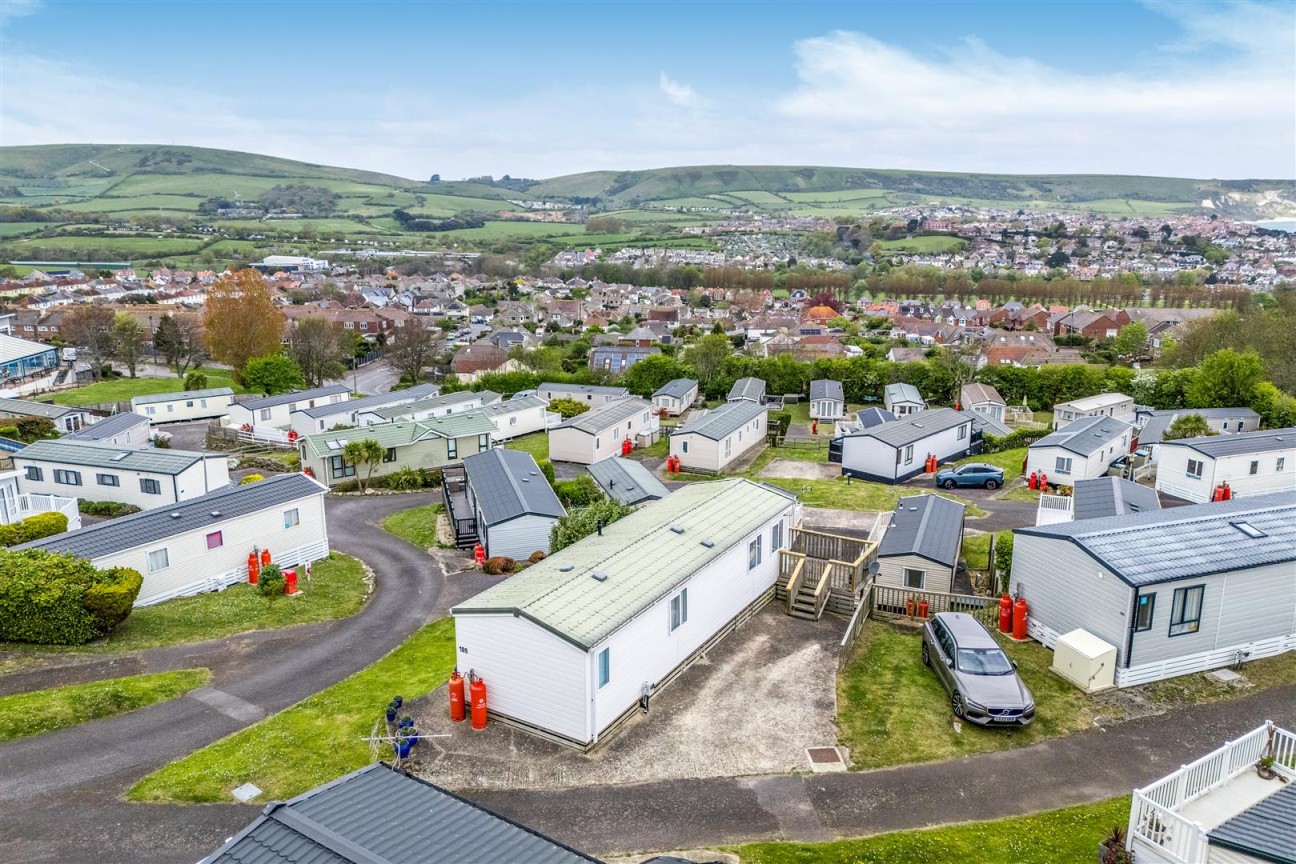 Poppy, Swanage Bay View, Swanage