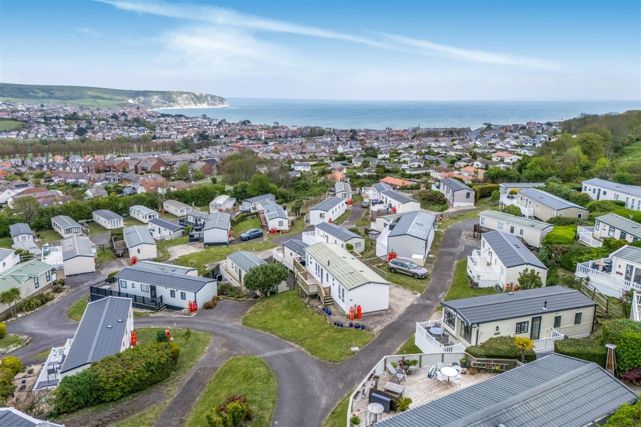 Poppy, Swanage Bay View, Swanage