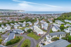 Poppy, Swanage Bay View, Swanage