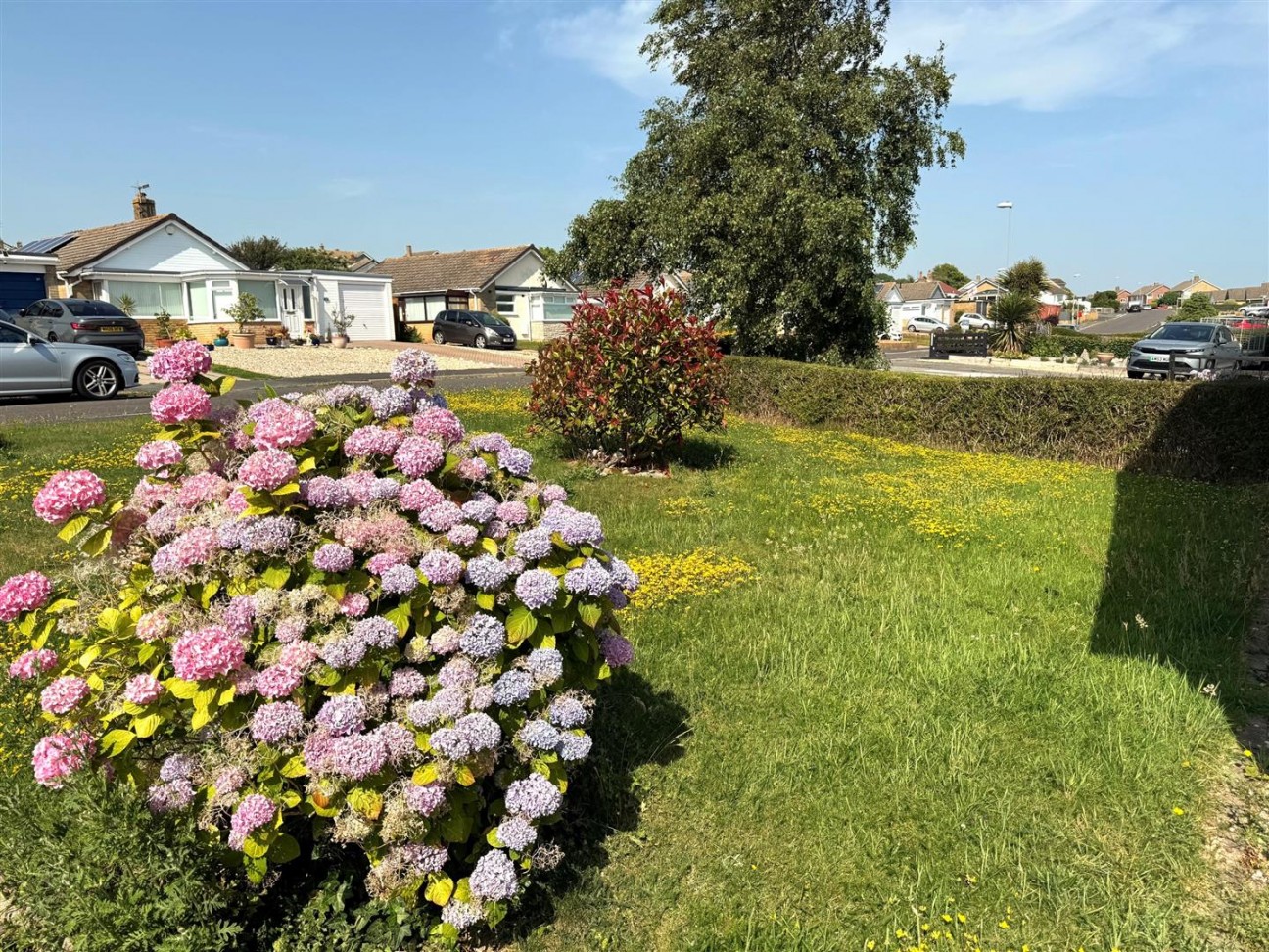 Chafeys Avenue, Weymouth