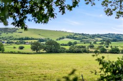 Belchalwell, Blandford Forum