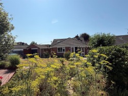 Green Lane, Dorchester