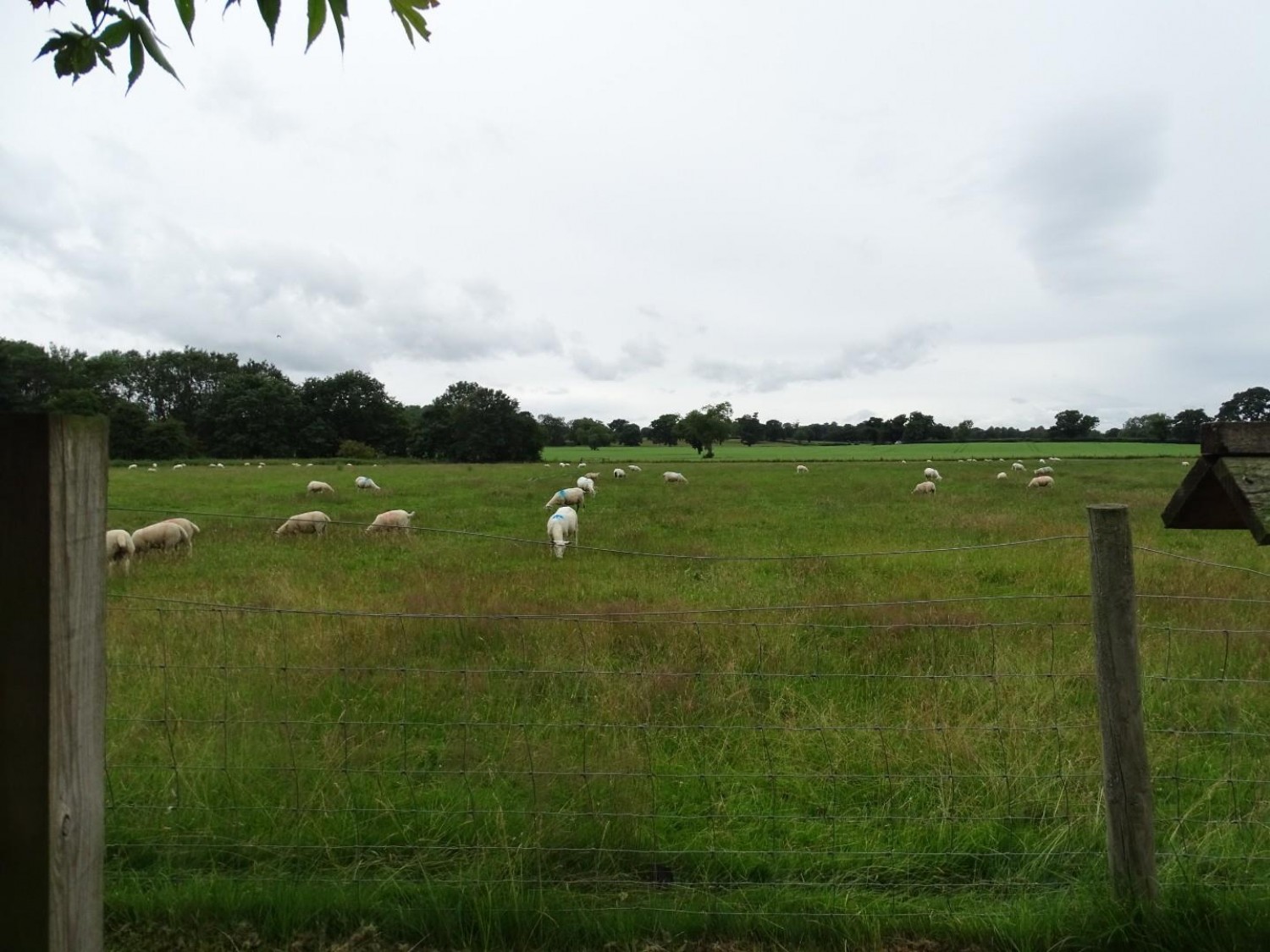 Greenfields North Stainley, Ripon