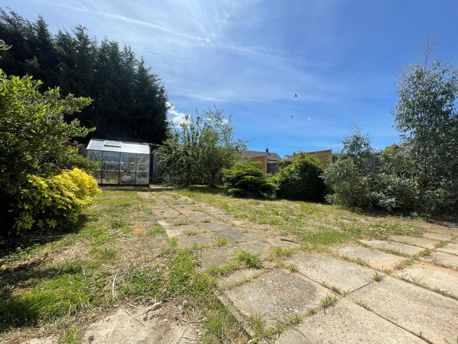Sutton Avenue, Barnsley