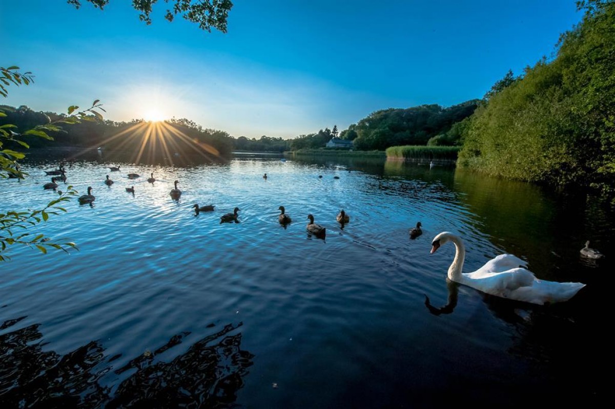 Montpellier Park, Llandrindod Wells, LD1 5LN