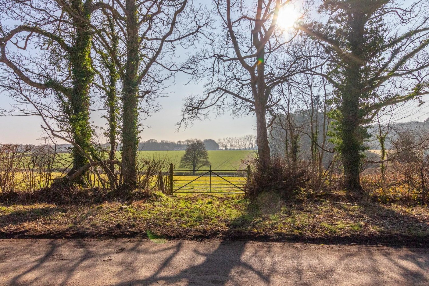 Cholesbury Lane, Buckland Common, Tring