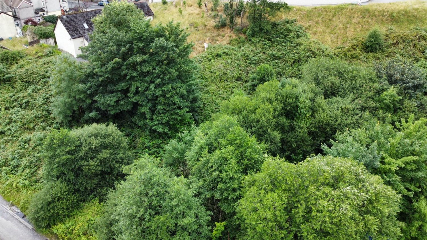 Ardwyn Place / Tynewydd Row, Bridgend
