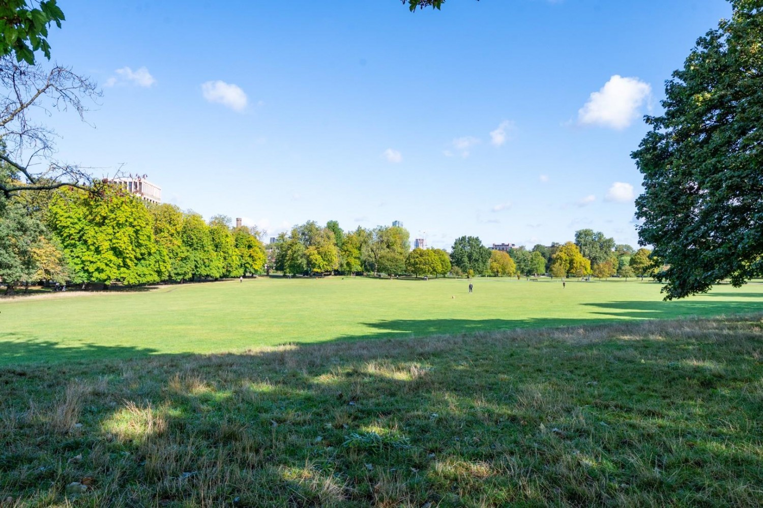 Queen Elizabeths Walk, Clissold Park, N16