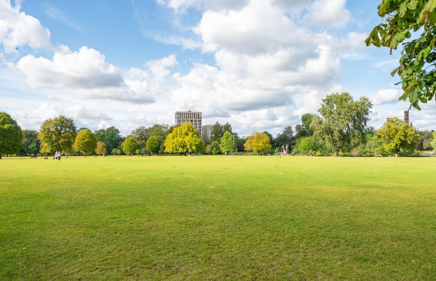 Queen Elizabeths Walk, London, N16