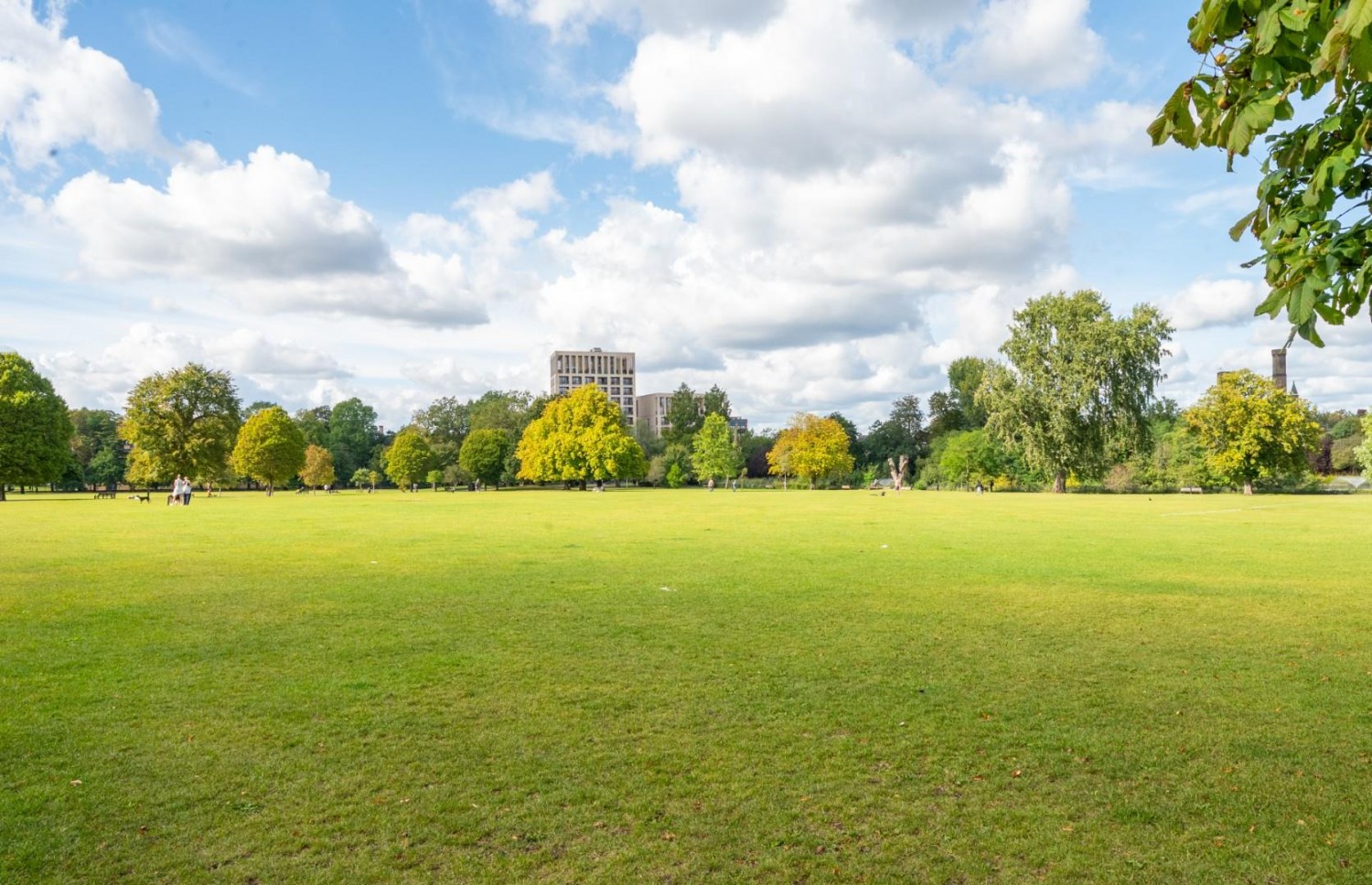 Queen Elizabeths Walk, Clissold Park, N16