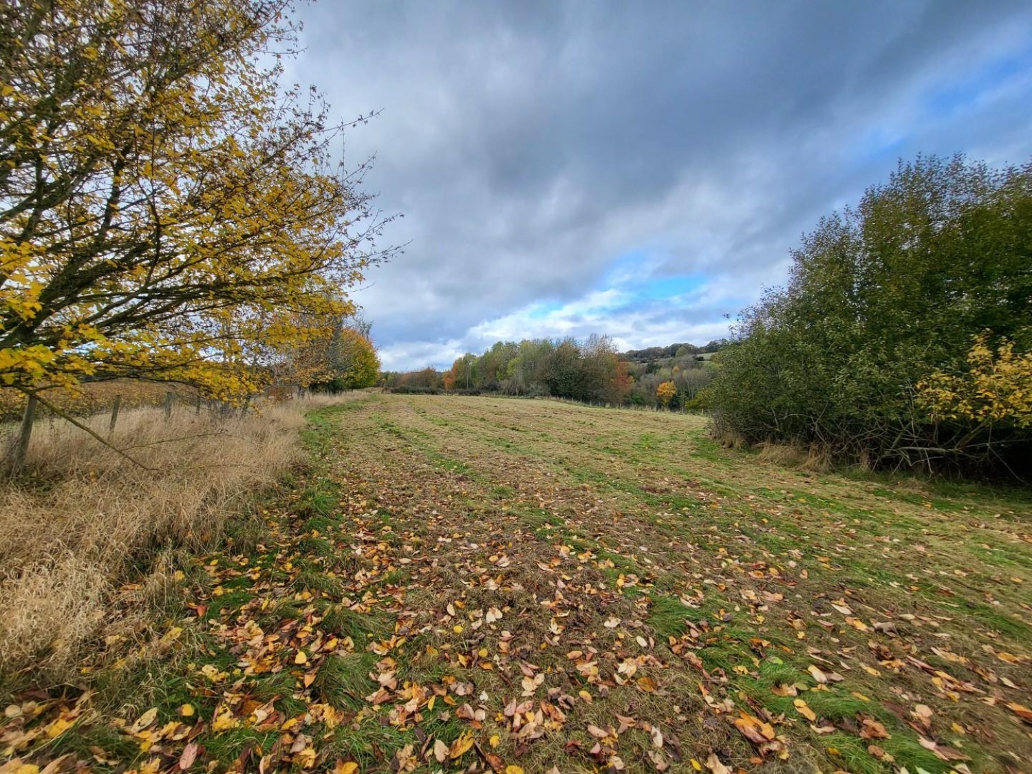 Parcel of land opposite Grange Cottage, How Caple, Hereford, HR1 4TF