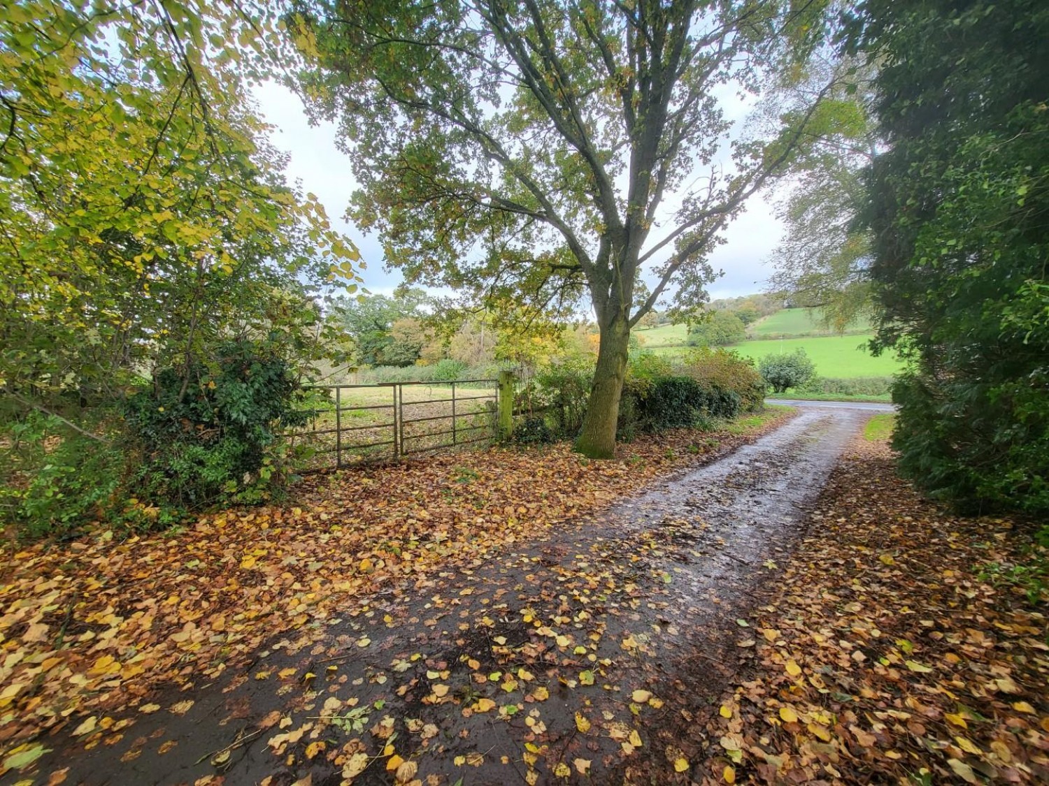 Parcel of land opposite Grange Cottage, How Caple, Hereford, HR1 4TF