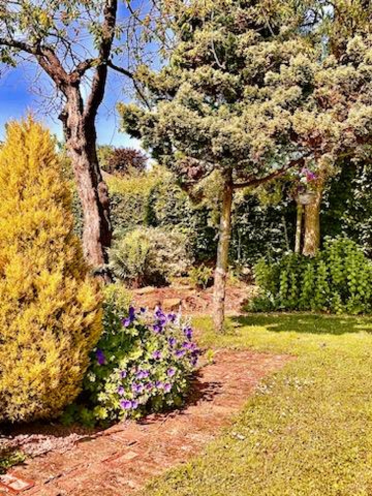 Summerland, Radway Road, Nunnington, Hereford, HR1 3NJ