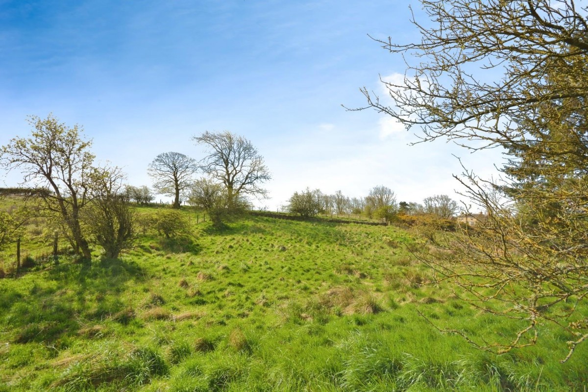 Morley, Bishop Auckland