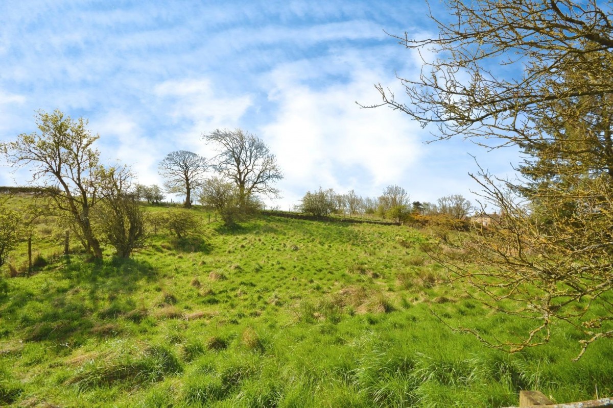 Morley, Bishop Auckland