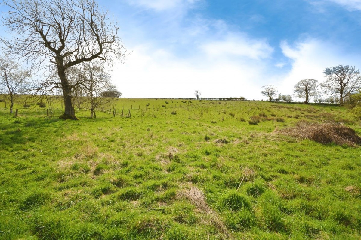 Morley, Bishop Auckland