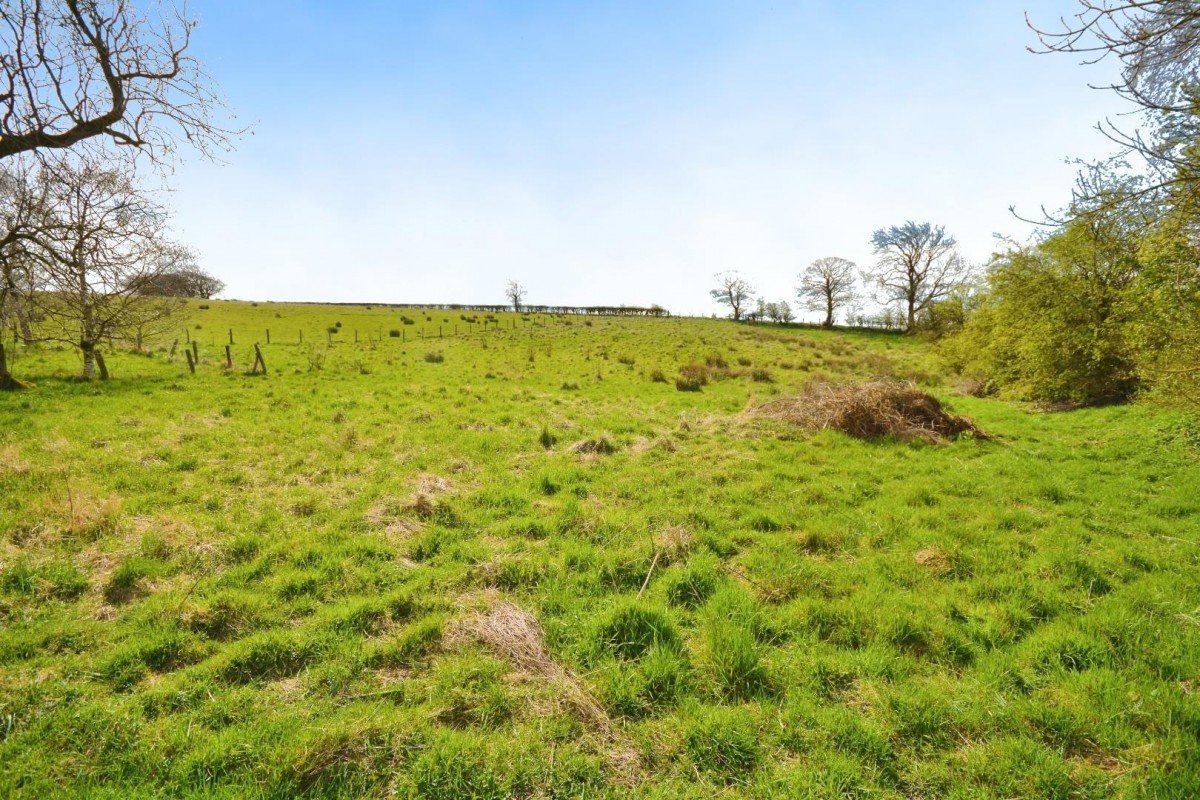 Morley, Bishop Auckland