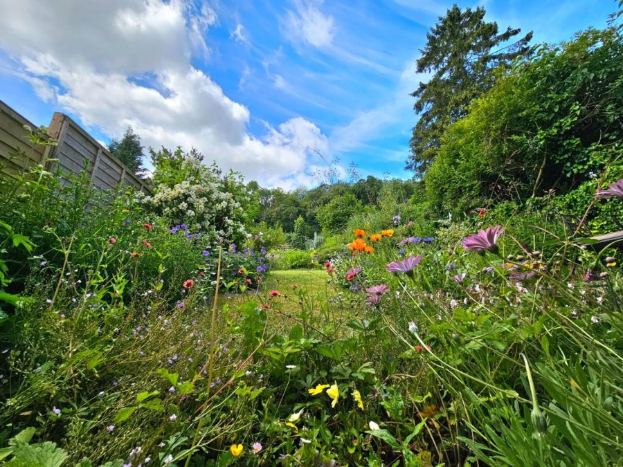 Garden Suburb, Dursley Hunters Estate Agents & Letting Agents