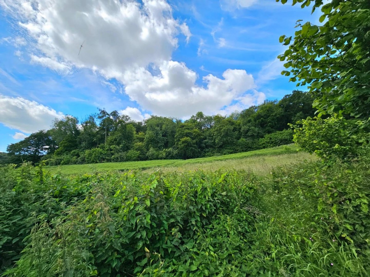 Garden Suburb, Dursley