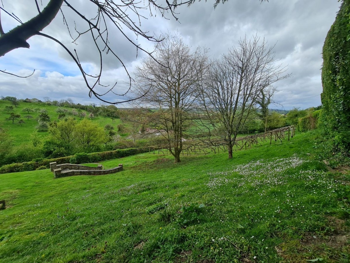 Clear View, Common Hill Fownhope, Hereford, HR1 4QA