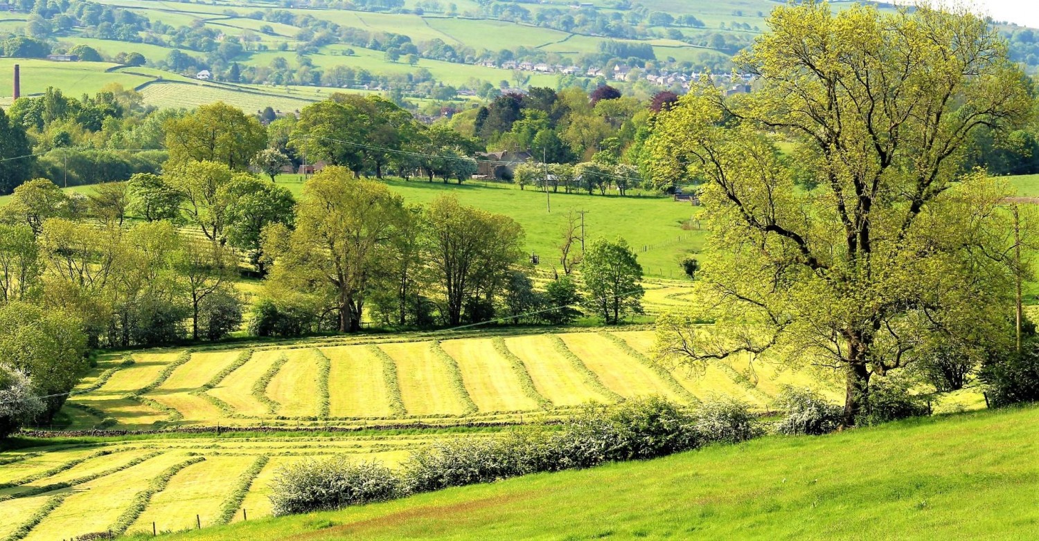 Thornton In Craven, Skipton