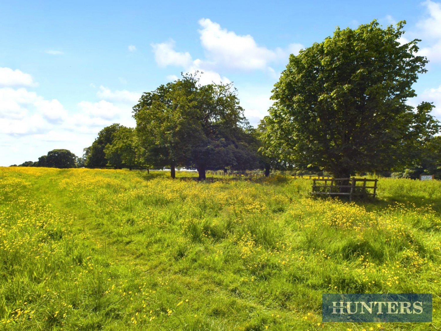 Westwood Road, Beverley, HU17 8EN