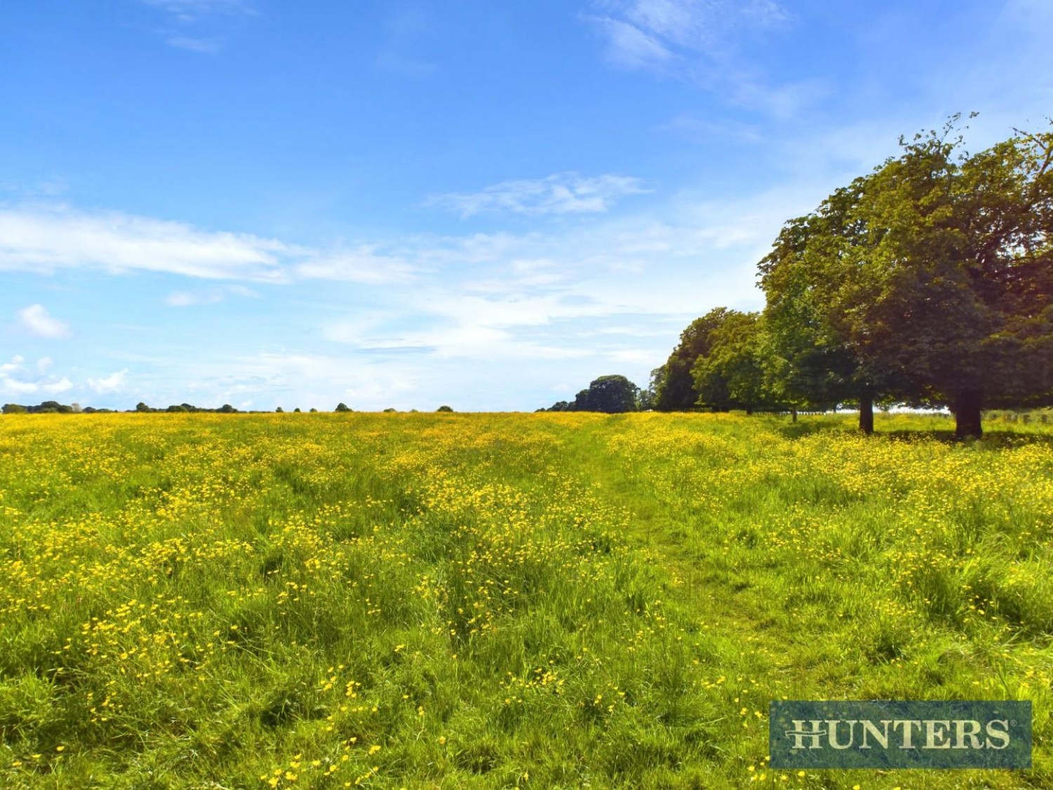 Westwood Road, Beverley, HU17 8EN