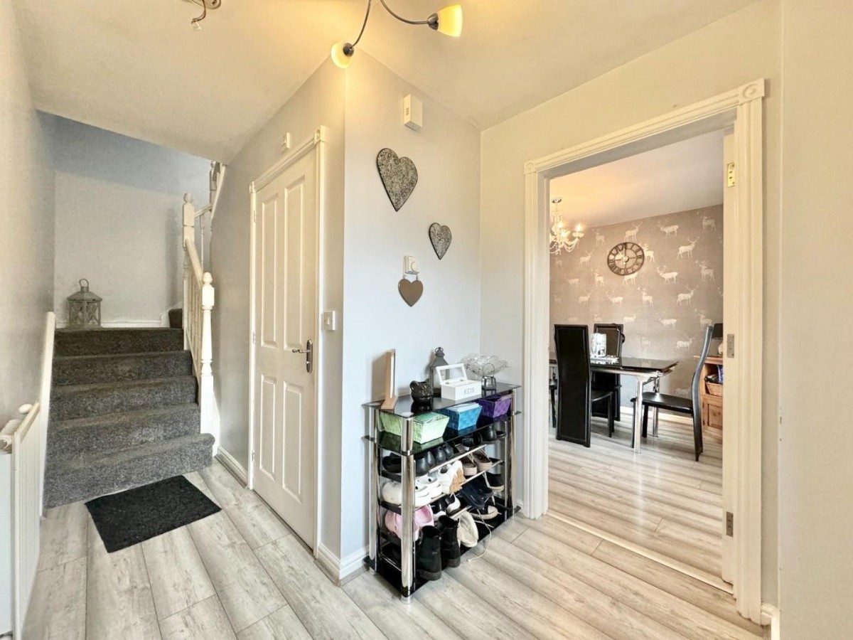 Cypress Heights, Barnsley