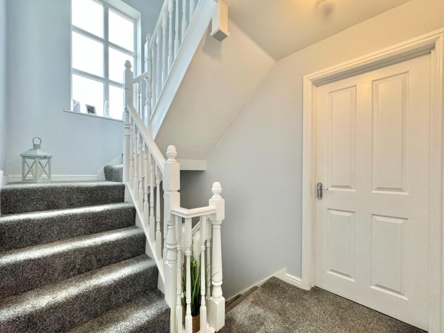 Cypress Heights, Barnsley