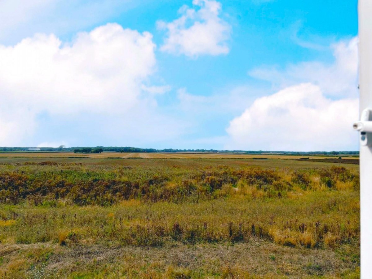 Discovery Drive, Kingsnorth