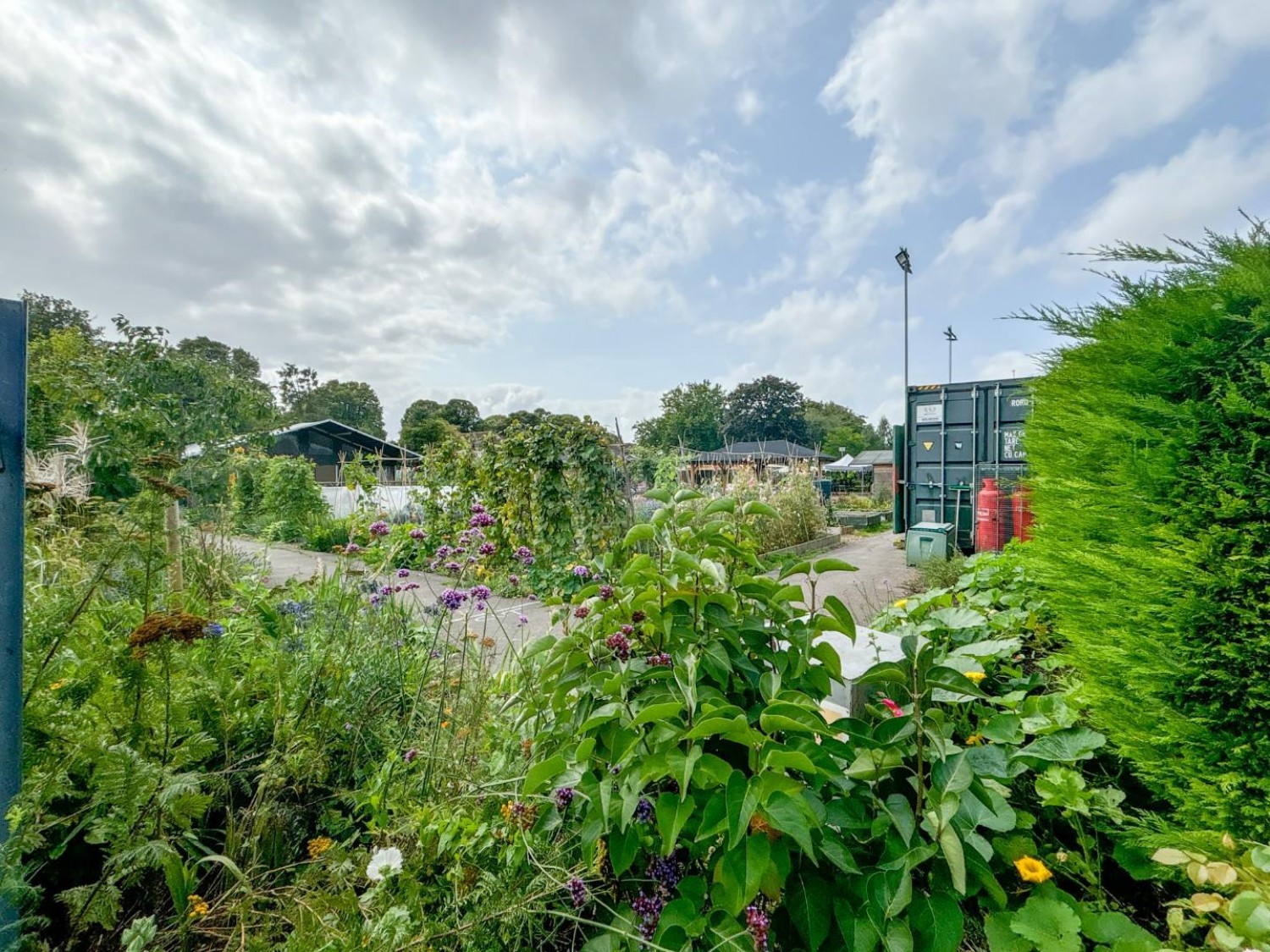 Greenwood Road, Bristol