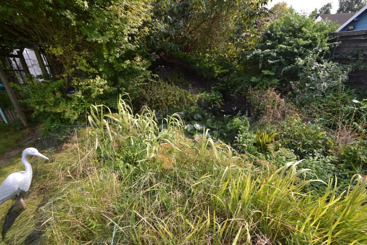 Cottered, BUNTINGFORD, Hertfordshire