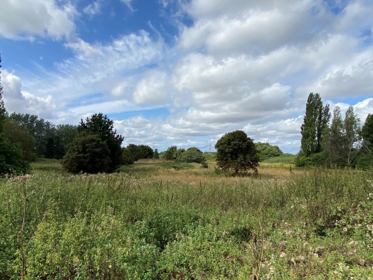 Thong Lane, Shorne,