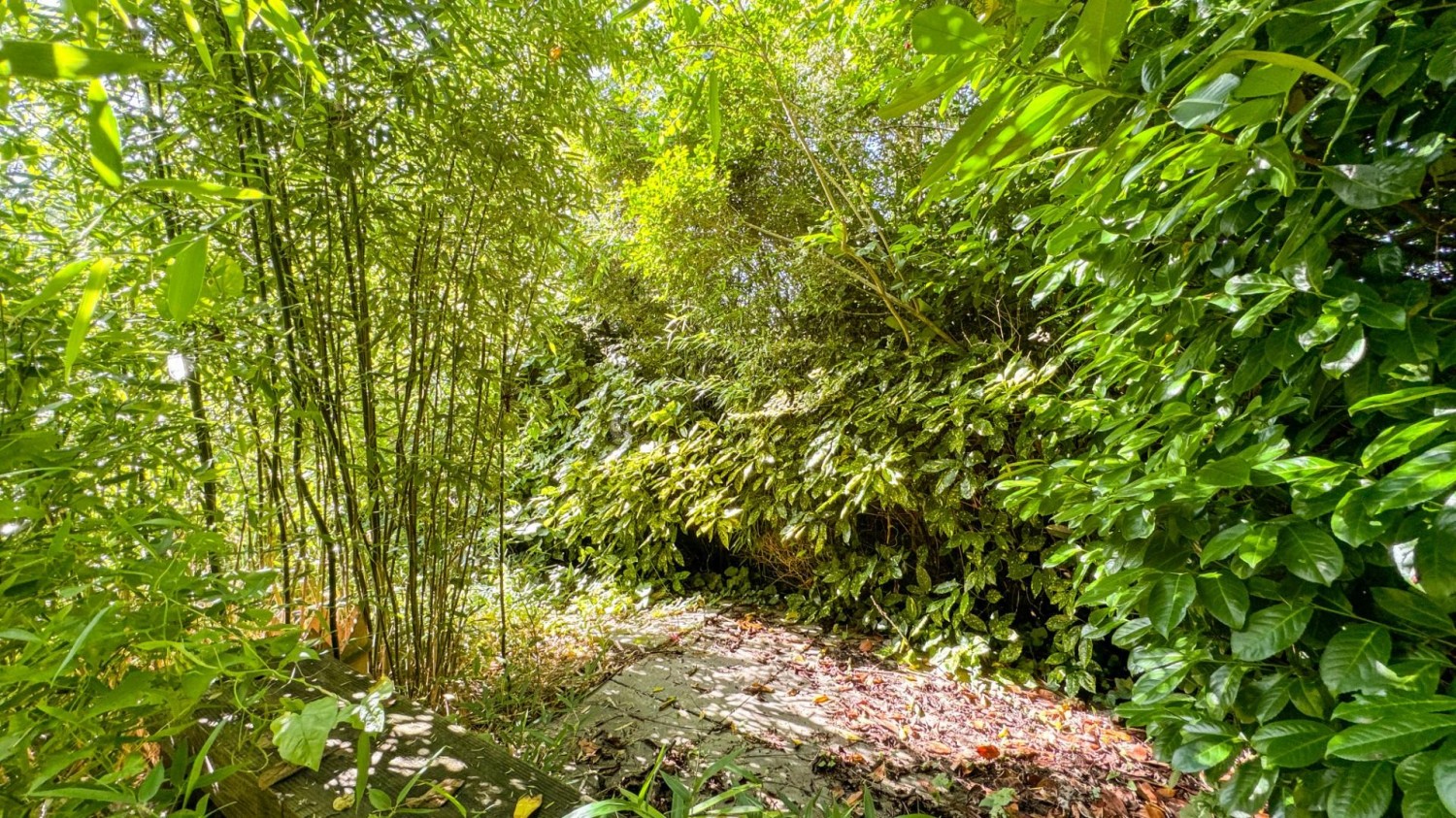 Haldon Close, Bedminster, Bristol, BS3