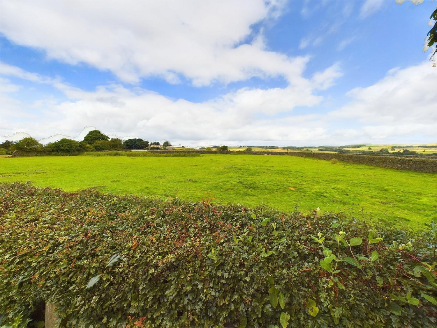 Appleton Close, Eldwick, Bingley